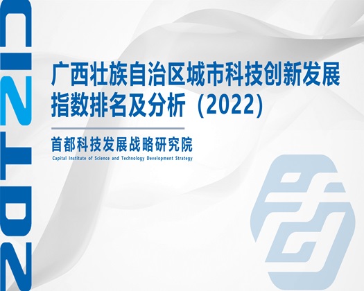 被操大鸡巴很爽视频【成果发布】广西壮族自治区城市科技创新发展指数排名及分析（2022）